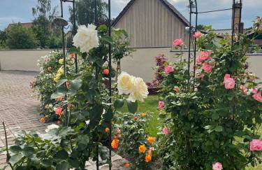 Gemütliche Ferienwohnung - Foto 11