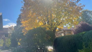 Gästehaus Baier am Bad - Foto 4