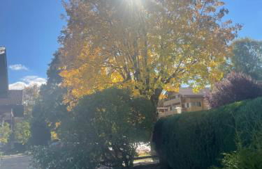 Gästehaus Baier am Bad - Foto 4