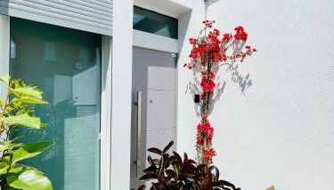 Mood's Home BLQ - Photo 1, Garden