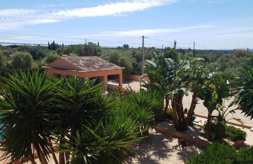 Ca´n RoSer - Foto 4