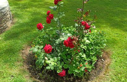 Sani Villa Maria - Foto 16