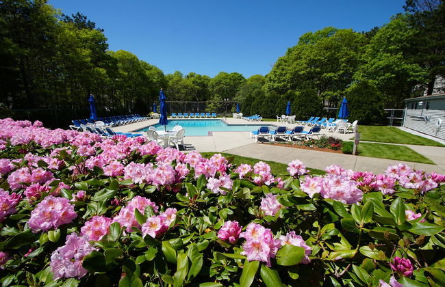 Sea Mist Resort - Foto 31