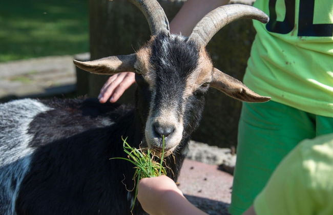 Cozy Chalet With a Decorative Fireplace - Foto 13