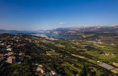 ANESIS 2022 - Photo 5