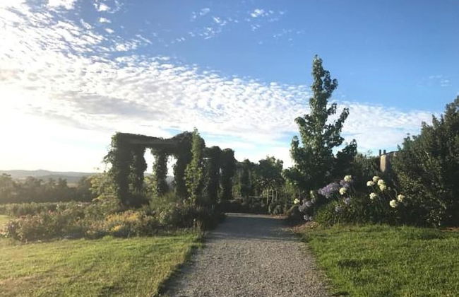 Outlook Hill Vineyard Cottages - Foto 46