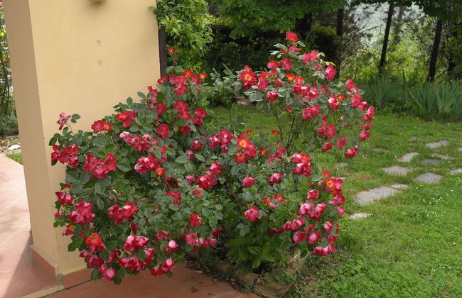 Belvilla by Oyo La Selva - Foto 19