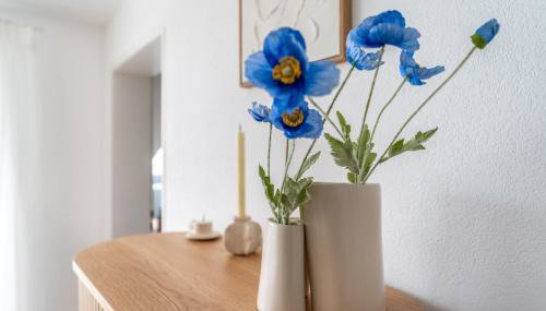 Helles Rooftop Serviced Apartment an der Schweizer Grenze - Foto 5