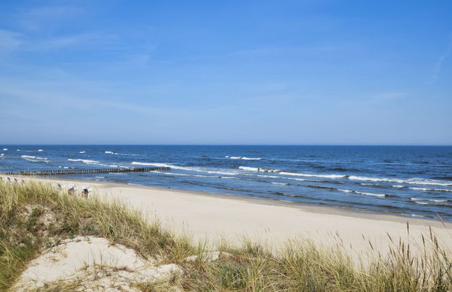 RentPlanet - Shellter - Foto 57