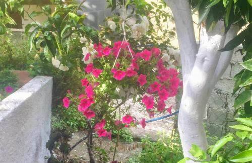 Dielino Amazing Sunset View - Foto 32