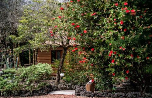 Alma do Pico - Nature Residence - Photo 55