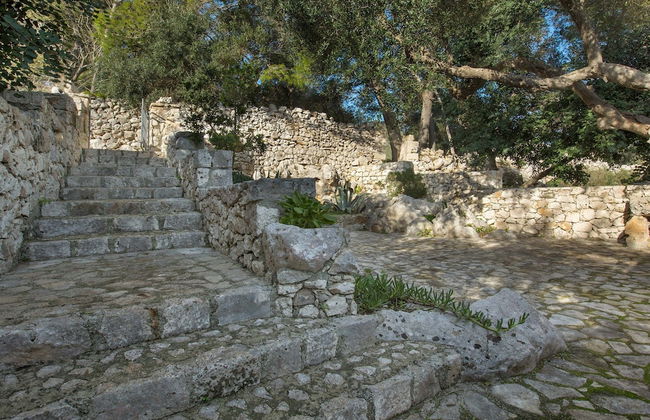 Pajara Acquaviva - Foto 16