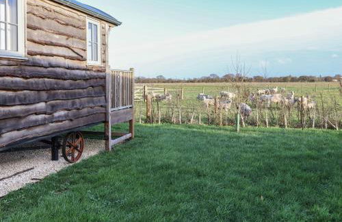 The Egyptologist - Foto 13