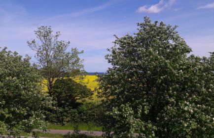 OstseeNest - Foto 10