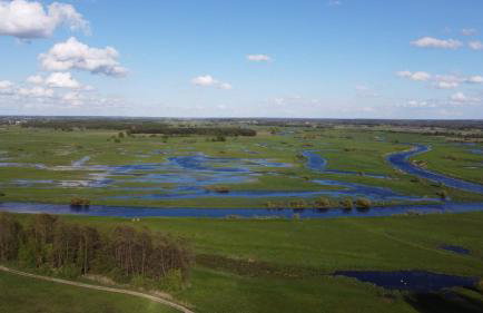 U Wileńskich - Foto 6