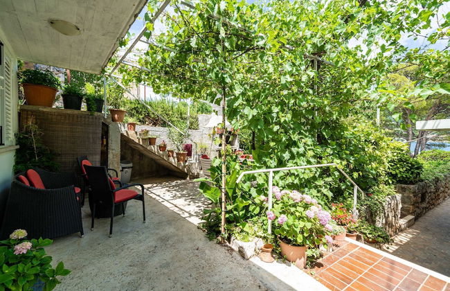 Apartments Zarac - Foto 19