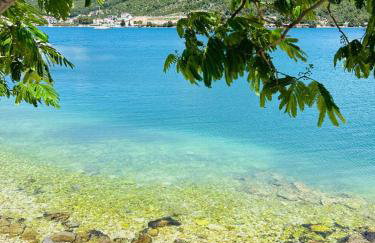 Apartments Dodig Maslina - Photo 56