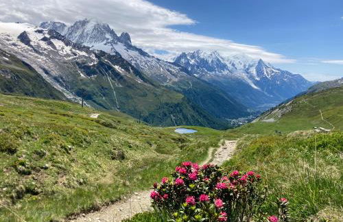 Chalet Walser à VALLORCINE 13 kms CHAMONIX France - Foto 54