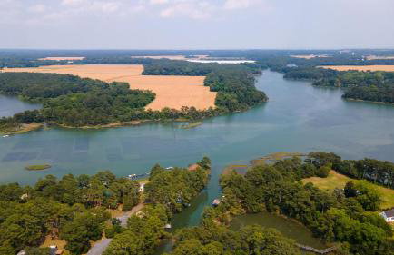 Counting Corks - Waterfront, Pet friendly, private dock! - Foto 59