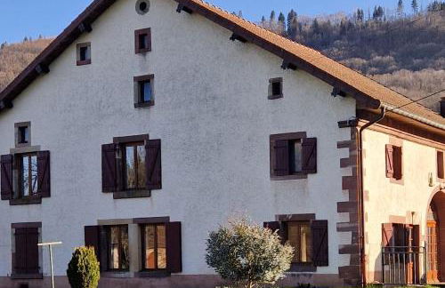 Chevaux au Soleil - Foto 3