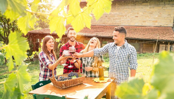 Experiencia del vino en las colinas de Bolonia - Foto 1