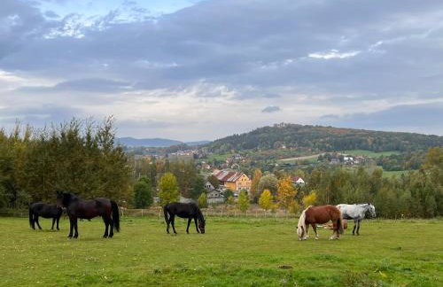 Śnieżna Chatka - Sosnówka Karpacz - Foto 24