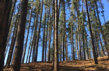 Agroturismo Erlete Goikoa -ESTAMOS EN EL CAMINO DE SANTIAGO -WE ARE ON THE CAMINO DE SANTIAGO- SENDERISMO-RUTAS Y BICICLETA - Photo 60