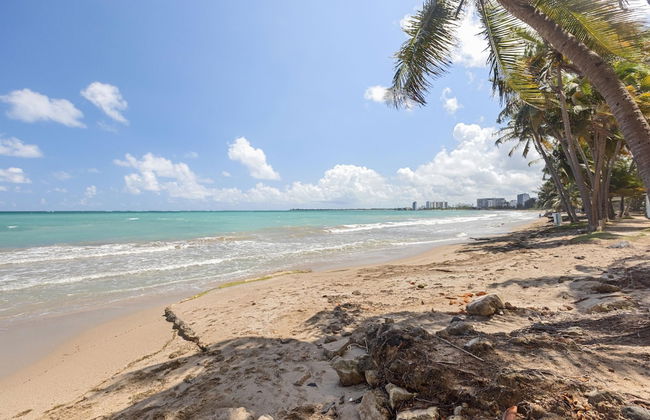 Otium Golden Beach Perfect Getaway - Photo 21