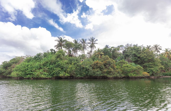 Serendipity Lake - Hikkaduwa - Photo 41