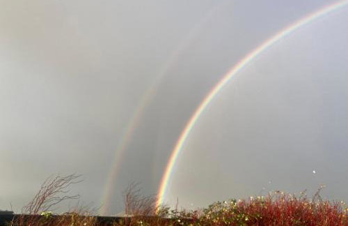 The Pleasant Hut at Mount Pleasant Farm - Foto 17