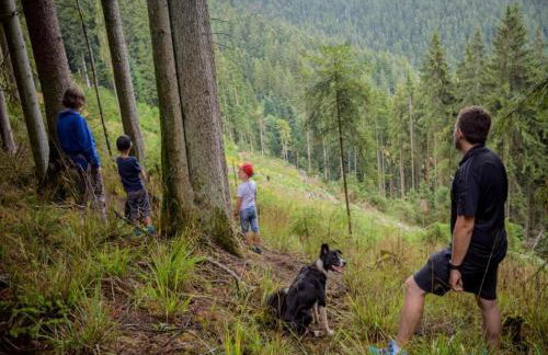 Schwarzwald-ferienwohnung auf dem Bauernhof - Photo 67