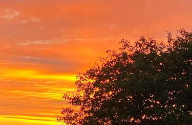 Babas rooms - Foto 29