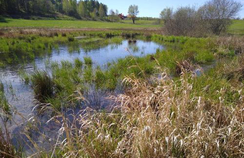 Ptasi Zakątek - Foto 13
