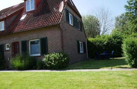 Apart Lachmöwe - Foto 13