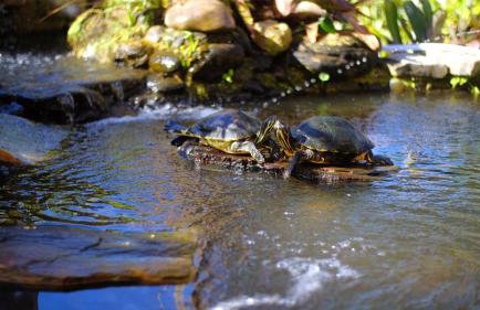 BeachPoint Cottages - Foto 32