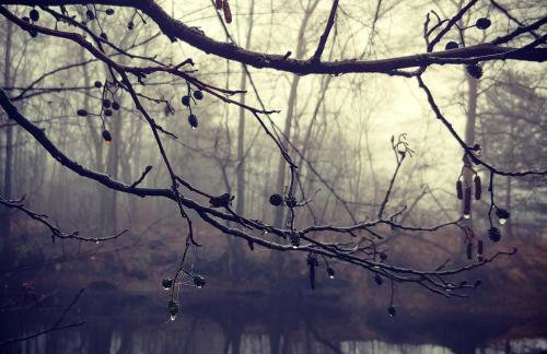 Masuria Warsaw Family - dom na wyłączność - w lesie i przy rzece - 15 min od Warszawy - idealny dla rodzin z dziećmi - Foto 52