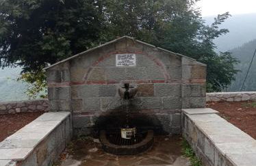 Άγρια Λούλουδα Κατοικία Αρμονία - Photo 48