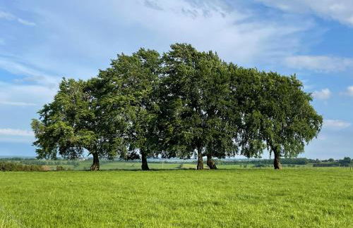 Ferienhaus Eifelherz - Photo 16