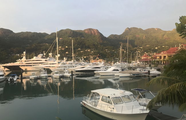 Eden Island Gem - Photo 18