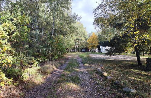 Kleine Freiheit Nummer 3 - Foto 21