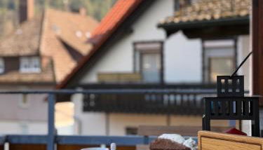 Wildneschd - Zentral & Schwarzwald Plus inklusive - Foto 5