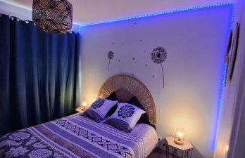 Agréable T2 Classé 3 étoiles, refait à neuf, dans quartier calme - Foto 10