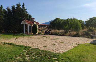 Villa AVRA - Photo 25