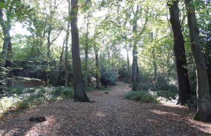 23 mins to London Bridge - Foto 29