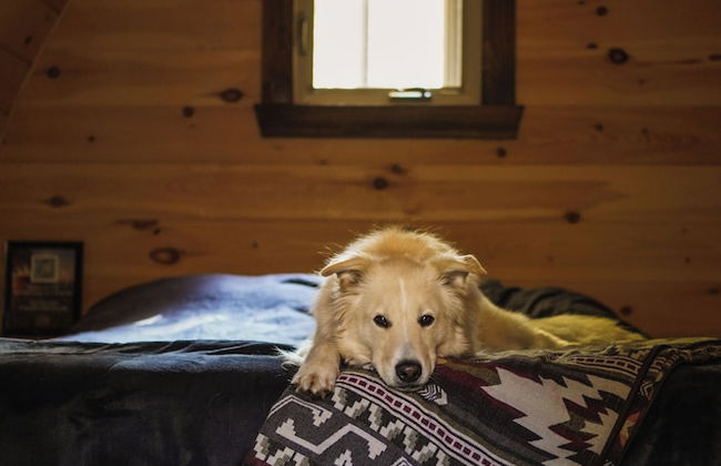 Station Chêne Rouge - Foto 36