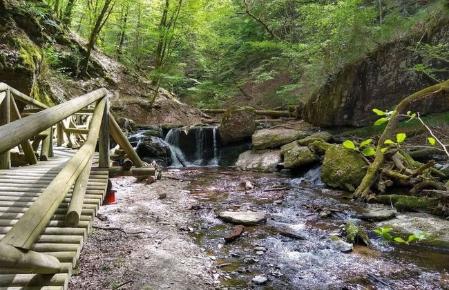 Vakantiehuis Mosella - Foto 29