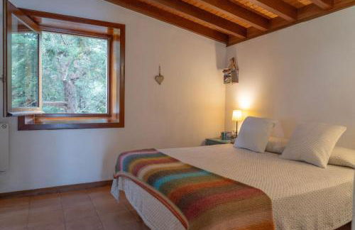 Finca el Roque - Photo 53