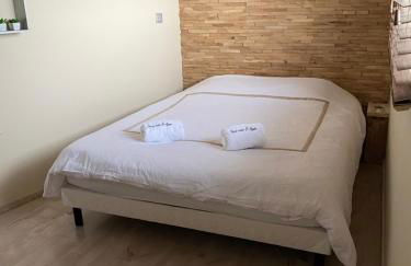 Charmant T3 jacuzzi - Foto 7