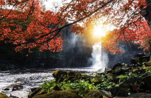 4 Bed in North Stainmore 92503 - Photo 23