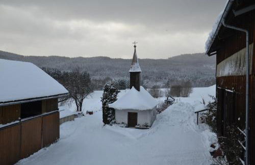 Hans Girgl Hof - Foto 42